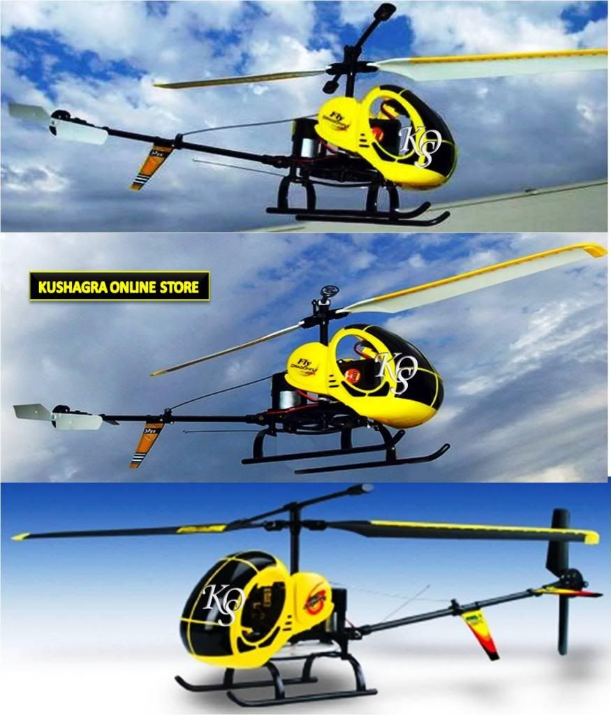 World's Most Popular DragonFly Radio Remote Control RC Real Look Helicopter